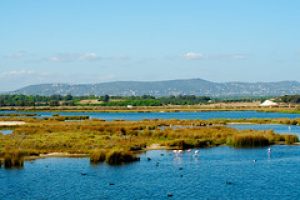 ria formosa